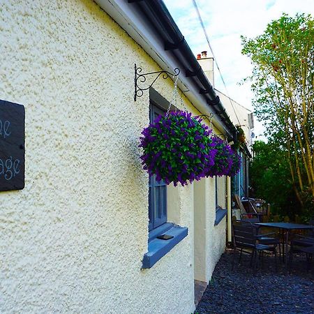 Staycation At Pine Cottage, A Newly Refurbished Holiday Cottage Goodwick Esterno foto