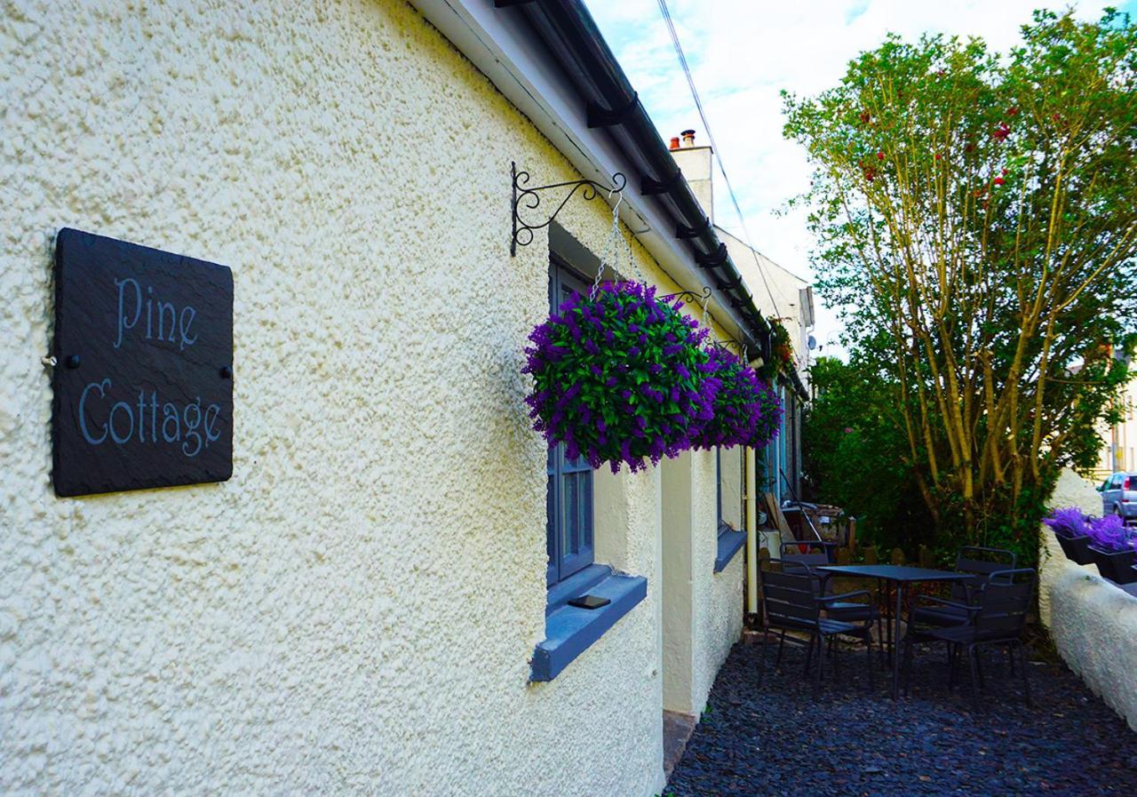 Staycation At Pine Cottage, A Newly Refurbished Holiday Cottage Goodwick Esterno foto